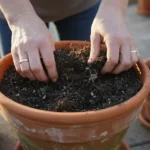 A person's hands gently sifting tired, compacted potting mix in a weathered terracotta pot on a sunlit patio, signifying the need for spring renewal.