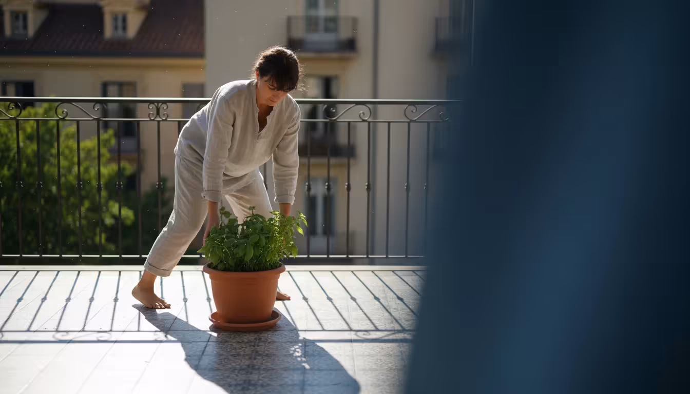 Person on a sunny urban balcony slides a potted herb plant from a bright spot into a clear patch of deep shade. A sun map is subtly visible.