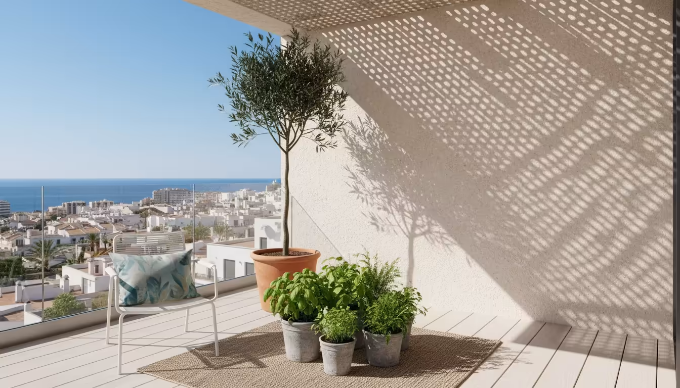 A potted olive tree casts an afternoon shadow over a cluster of smaller herb pots against a clean wall on a sunny balcony, creating a cool, shaded zon