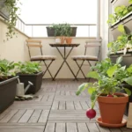 The 30-Day Balcony Harvest: A Step-by-Step Guide to Growing Radishes in a Pot - comprehensive guide