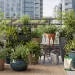 The ‘Hydration Holiday’ Plan: How to Group and Prep Your Balcony Pots for a Heatwave - comprehensive guide