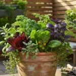 The ‘One-Pot Wonder’ Fall Salad Bar: How to Grow 3 Cut-and-Come-Again Lettuces Together in a Single Container - comprehensive guide
