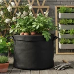 The ‘One Square Foot’ Potato Patch: How to Grow Spuds in a Fabric Grow Bag on a Tiny Balcony - comprehensive guide