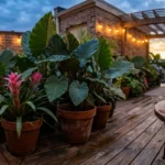 A lush patio garden at dusk with large potted plants like Bromeliads and Elephant Ears under soft string lights.