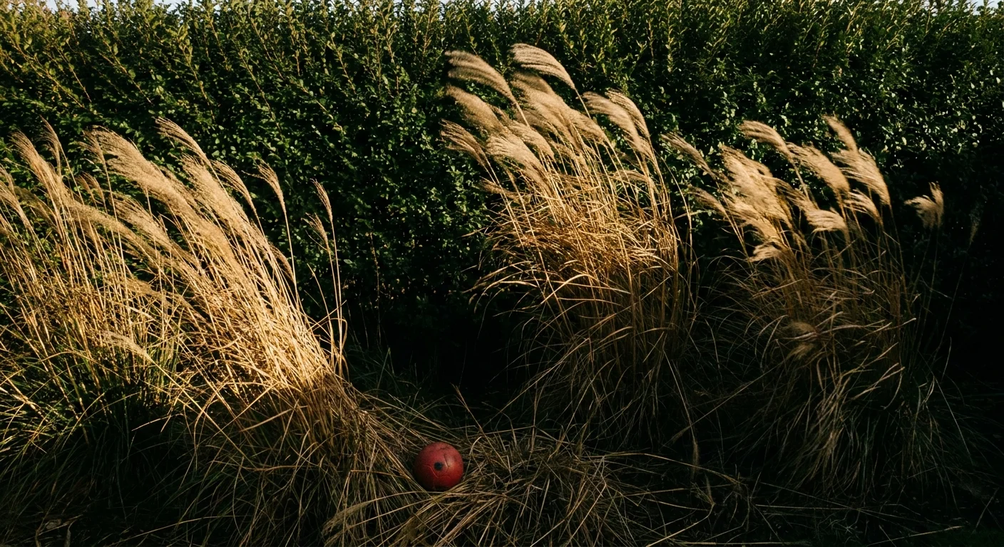 Tall grasses and a dense hedge at the edge of a yard, showing the dark shadows at their base.