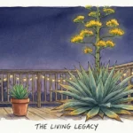 Watercolor illustration of a tall Agave bloom on a balcony at twilight, showing the parent plant and a new sprout.