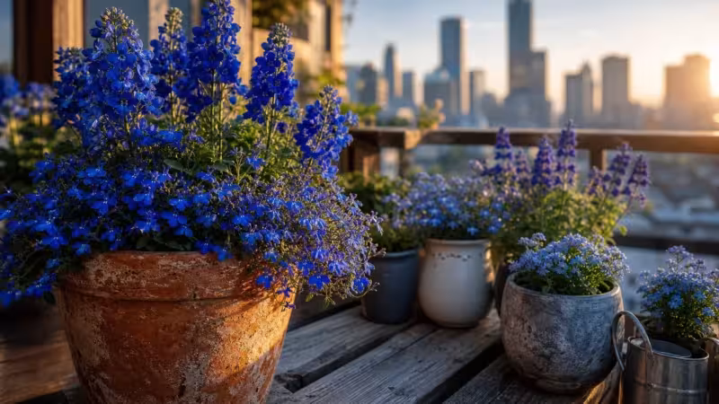 A lush collection of blue flowers in terracotta and ceramic pots arranged on a wooden balcony at sunrise.