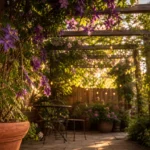A small patio with a wooden pergola covered in purple Clematis flowers and green vines during a warm golden hour sunset.