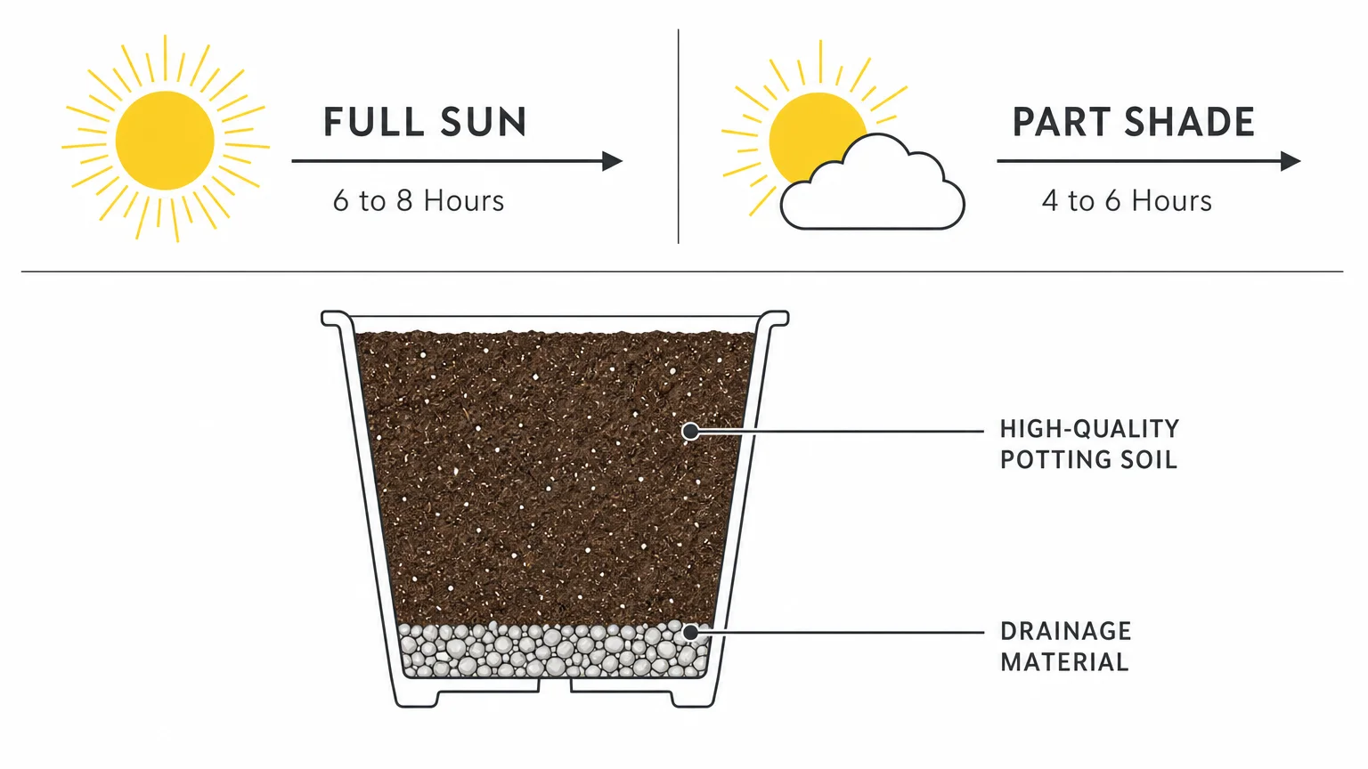 A technical diagram showing the sunlight hour requirements for full sun and part shade, and a cross-section of container soil.