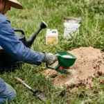 6 Expert-Recommended Ways to Eliminate Fire Ants Quickly
