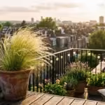 An ornamental grass plant in a terracotta pot sways in the wind on a sun-drenched apartment balcony during golden hour.